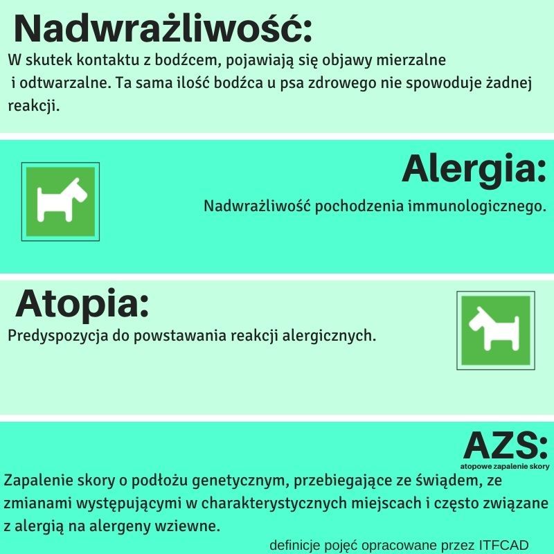 alergia u psa definicje