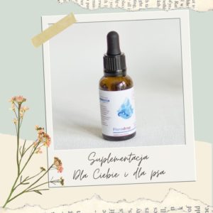 floradrop probiotyk dla Ciebie probiotyk dla psa