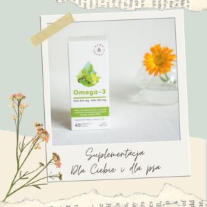 kwasy omega 3 dla Ciebie i dla psa