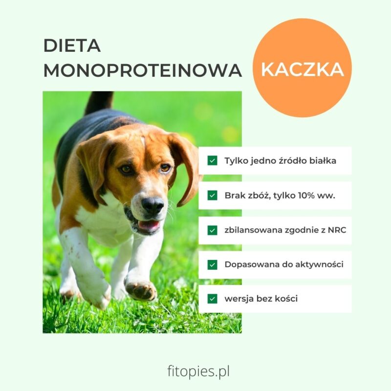 Zbilansowana dieta monoproteinowa dla psa - KACZKA