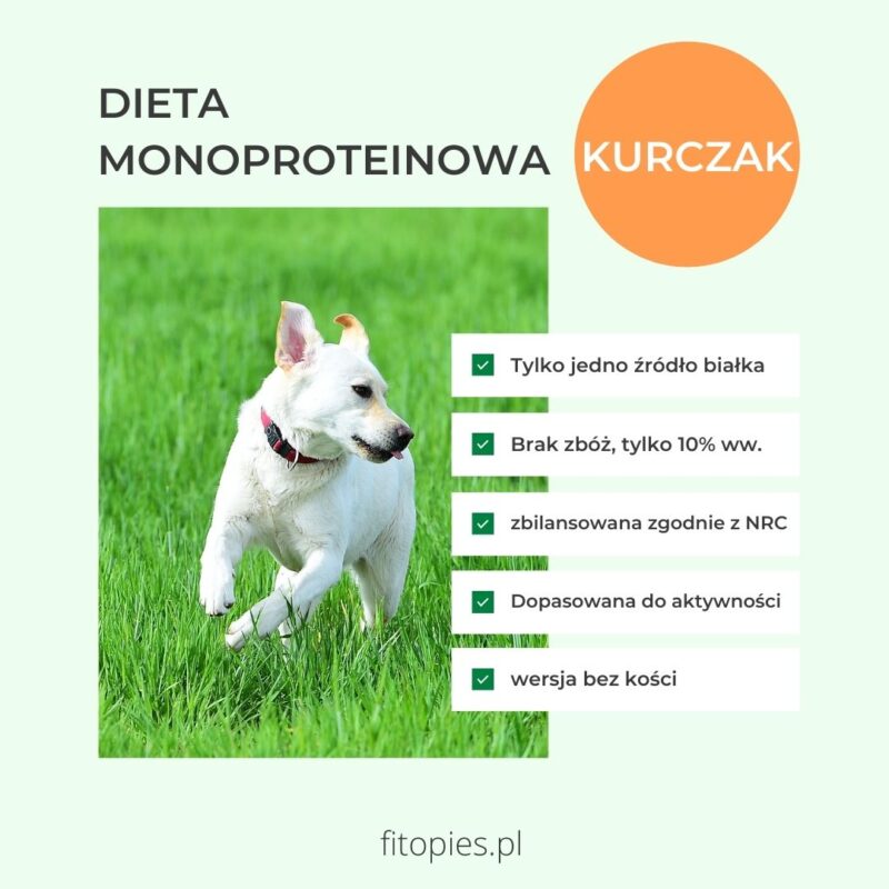 Zbilansowana dieta monoproteinowa dla psa - KURCZAK