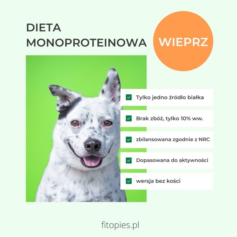 Zbilansowana dieta monoproteinowa dla psa - WIEPRZOWINA