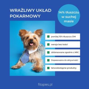 dieta dla psów z wrażliwym układem pokarmowym