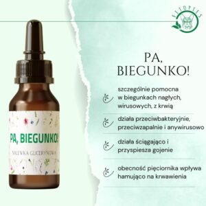 biegunka u psa