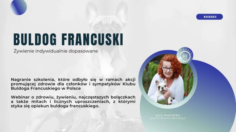 Buldog Francuski – webinar o predyspozycjach i potrzebach rasy