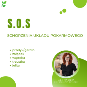 S.O.S. problemy układu pokarmowego u psa – rozwiązania dietetyczne i suplementacja WEBINAR