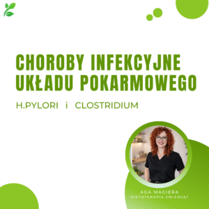 Infekcje H. pylori i Clostridium – praktyczne nagranie o roli diety w zakażeniach przewodu pokarmowego. Konkretne rozwiązania i błędy do uniknięcia.