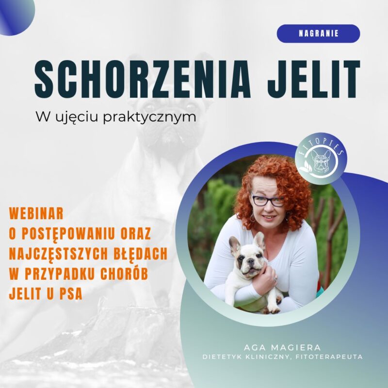 okładka schorzenia jelit