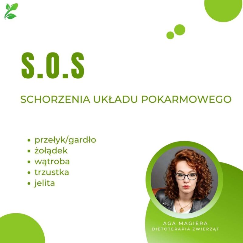 schorzenia układu pokarmowego u psa