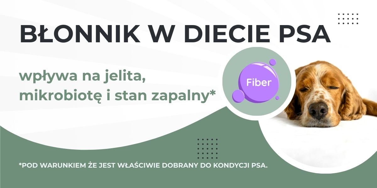 błonnik w diecie psa