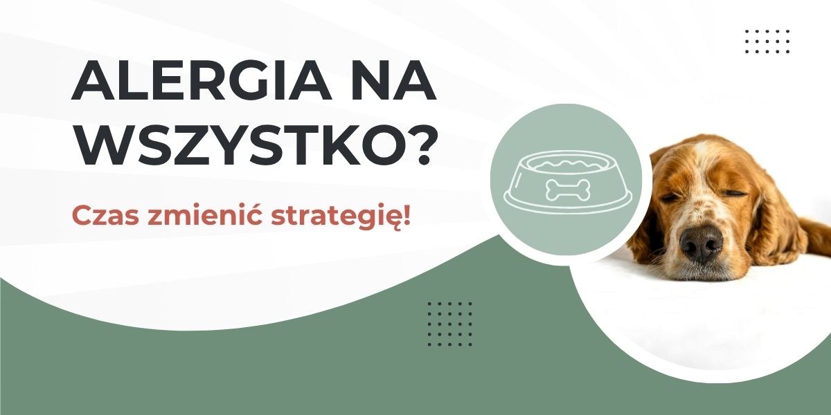 pies ma alergię na wszystko