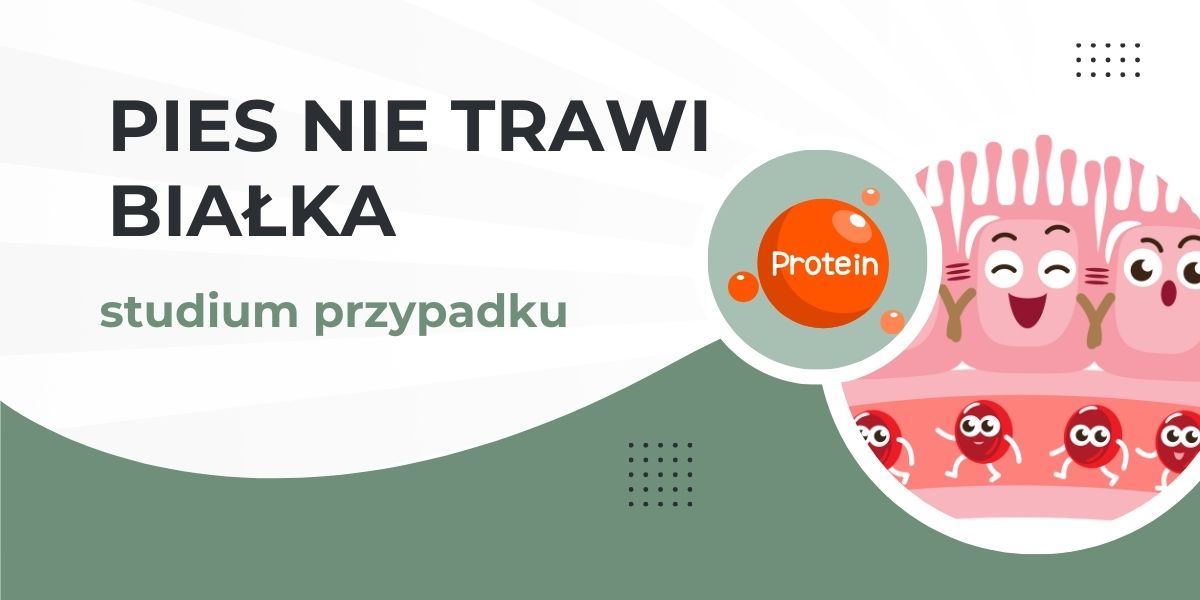pies trawi białka