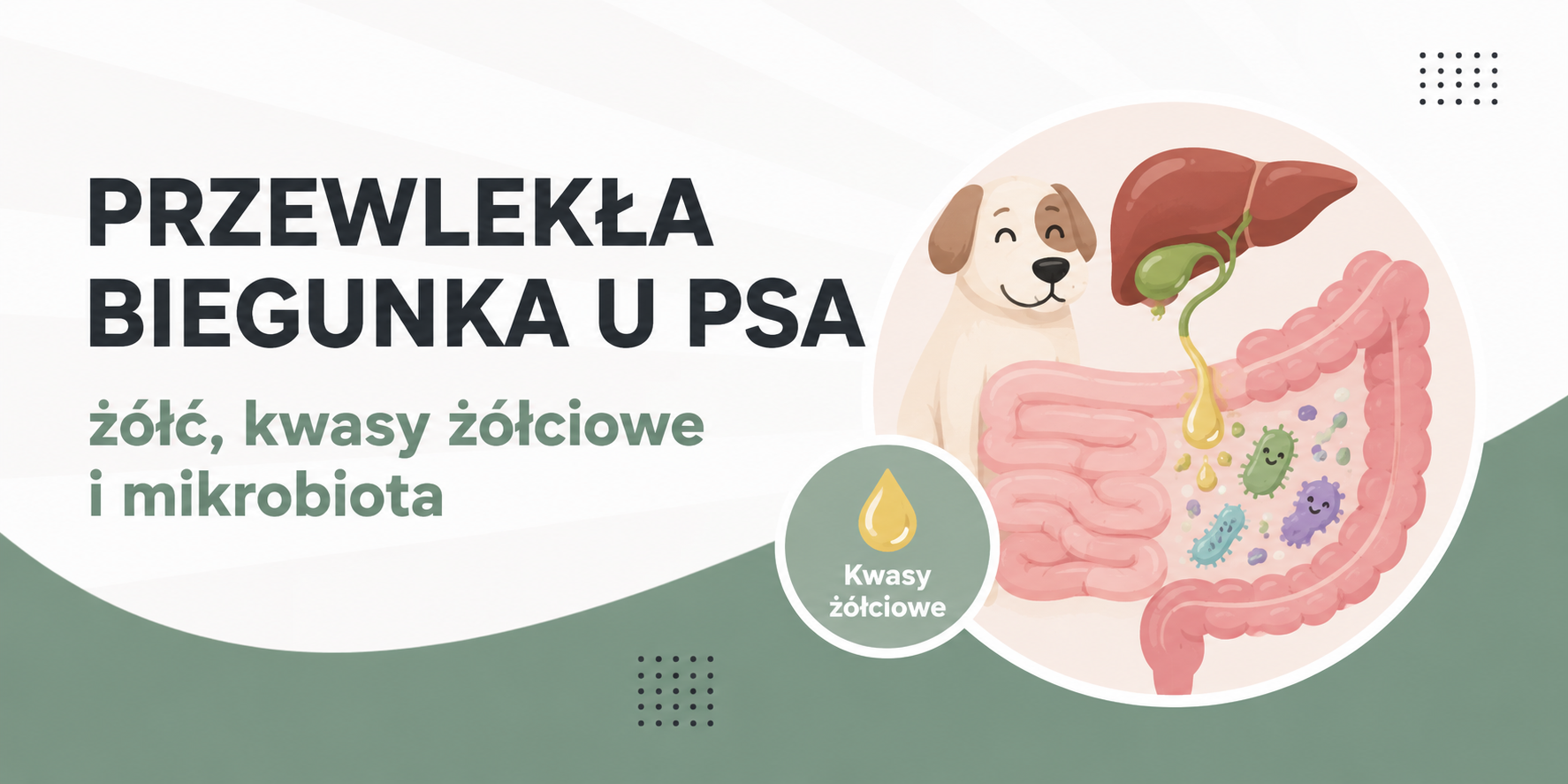 przewlekla biegunka u psa