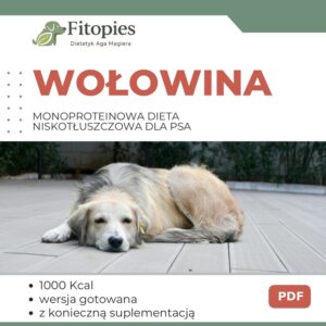 Monoproteinowa dieta niskotłuszczowa dla psa – rozwiązanie przy biegunkach i problemach jelitowych 2 Wołowina - monoproteinowa dieta niskotłuszczowa dla psa (PDF)